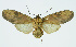  ( - INB0003943266)  @11 [ ] CreativeCommons - Attribution Non-Commercial No Derivatives (2011) Alex Smith University of Guelph