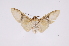  ( - INB0003946492)  @13 [ ] Copyright (2012) B. Espinoza Instituto Nacional de Biodiversidad