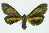  ( - INB0003946575)  @12 [ ] CreativeCommons - Attribution Non-Commercial No Derivatives (2011) Alex Smith University of Guelph