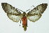  ( - INB0003968405)  @13 [ ] Copyright (2010) A. Solis Instituto Nacional de Biodiversidad