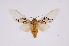  ( - INB0004013034)  @13 [ ] Copyright (2012) B. Espinoza Instituto Nacional de Biodiversidad
