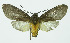  ( - INB0004038430)  @13 [ ] CreativeCommons - Attribution Non-Commercial No Derivatives (2011) Alex Smith University of Guelph