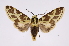  ( - INB0004049890)  @14 [ ] Copyright (2012) B. Espinoza Instituto Nacional de Biodiversidad