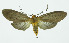  ( - INB0004067313)  @13 [ ] CreativeCommons - Attribution Non-Commercial No Derivatives (2011) Alex Smith University of Guelph