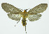  ( - INB0004067450)  @13 [ ] CreativeCommons - Attribution Non-Commercial No Derivatives (2011) Alex Smith University of Guelph
