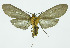  ( - INB0004067450)  @13 [ ] CreativeCommons - Attribution Non-Commercial No Derivatives (2011) Alex Smith University of Guelph