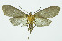  ( - INB0004067519)  @13 [ ] CreativeCommons - Attribution Non-Commercial No Derivatives (2011) Alex Smith University of Guelph