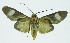  ( - INB0004073358)  @13 [ ] CreativeCommons - Attribution Non-Commercial No Derivatives (2011) Alex Smith University of Guelph