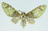  ( - INB0004078547)  @13 [ ] CreativeCommons - Attribution Non-Commercial No Derivatives (2011) Alex Smith University of Guelph