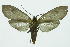  ( - INB0004091027)  @13 [ ] CreativeCommons - Attribution Non-Commercial No Derivatives (2011) Alex Smith University of Guelph