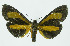  ( - INB0004103977)  @12 [ ] CreativeCommons - Attribution Non-Commercial No Derivatives (2011) Alex Smith University of Guelph