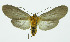  ( - INB0004121585)  @13 [ ] CreativeCommons - Attribution Non-Commercial No Derivatives (2011) Alex Smith University of Guelph
