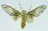  ( - INB0004143836)  @13 [ ] CreativeCommons - Attribution Non-Commercial No Derivatives (2011) Alex Smith University of Guelph