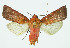  ( - INB0004157488)  @14 [ ] CreativeCommons - Attribution Non-Commercial No Derivatives (2011) Alex Smith University of Guelph