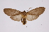  ( - INB0004158763)  @13 [ ] Copyright (2012) B. Espinoza Instituto Nacional de Biodiversidad