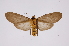  ( - INB0004158763)  @13 [ ] Copyright (2012) B. Espinoza Instituto Nacional de Biodiversidad
