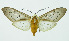  ( - INB0004159603)  @15 [ ] Copyright (2010) A. Solis Instituto Nacional de Biodiversidad