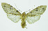  ( - INB0004160467)  @14 [ ] CreativeCommons - Attribution Non-Commercial No Derivatives (2011) Alex Smith University of Guelph