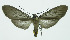 ( - INB0004160616)  @13 [ ] CreativeCommons - Attribution Non-Commercial No Derivatives (2011) Alex Smith University of Guelph