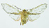  ( - INB0004160707)  @13 [ ] Copyright (2010) A. Solis Instituto Nacional de Biodiversidad