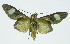  ( - INB0004161096)  @13 [ ] CreativeCommons - Attribution Non-Commercial No Derivatives (2011) Alex Smith University of Guelph