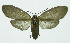  ( - INB0004170043)  @13 [ ] CreativeCommons - Attribution Non-Commercial No Derivatives (2011) Alex Smith University of Guelph