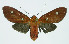  ( - INB0004173366)  @14 [ ] CreativeCommons - Attribution Non-Commercial No Derivatives (2011) Alex Smith University of Guelph