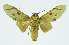  ( - INB0004175376)  @13 [ ] CreativeCommons - Attribution Non-Commercial No Derivatives (2011) Alex Smith University of Guelph
