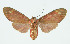  ( - INB0004178282)  @14 [ ] CreativeCommons - Attribution Non-Commercial No Derivatives (2011) Alex Smith University of Guelph