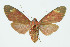  ( - INB0004178719)  @14 [ ] CreativeCommons - Attribution Non-Commercial No Derivatives (2011) Alex Smith University of Guelph