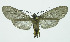 ( - INB0004184313)  @13 [ ] CreativeCommons - Attribution Non-Commercial No Derivatives (2011) Alex Smith University of Guelph