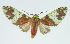  ( - INB0004190012)  @13 [ ] CreativeCommons - Attribution Non-Commercial No Derivatives (2011) Alex Smith University of Guelph