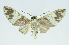  ( - INB0004190012)  @13 [ ] CreativeCommons - Attribution Non-Commercial No Derivatives (2011) Alex Smith University of Guelph