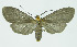 ( - INB0004208206)  @13 [ ] CreativeCommons - Attribution Non-Commercial No Derivatives (2011) Alex Smith University of Guelph