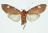  ( - INB0004264056)  @14 [ ] CreativeCommons - Attribution Non-Commercial No Derivatives (2011) Alex Smith University of Guelph
