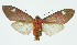  ( - INB0004264058)  @14 [ ] CreativeCommons - Attribution Non-Commercial No Derivatives (2011) Alex Smith University of Guelph