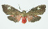  ( - INB0004264074)  @14 [ ] CreativeCommons - Attribution Non-Commercial No Derivatives (2011) Alex Smith University of Guelph