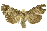  ( - INB0003008077)  @11 [ ] Copyright (2012) Juan Mata Lorenzen INBio