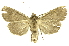  ( - INB0003008077)  @11 [ ] Copyright (2012) Juan Mata Lorenzen INBio