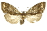  ( - INB0003012056)  @14 [ ] Copyright (2012) Juan Mata Lorenzen Unspecified