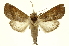  ( - INB0003017018)  @11 [ ] Copyright (2012) Juan Mata Lorenzen Unspecified