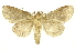  ( - INB0003024900)  @12 [ ] Copyright (2012) Juan Mata Lorenzen Unspecified