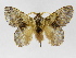  ( - INB0003024984)  @15 [ ] Copyright (2012) J. Montero Instituto Nacional de Biodiversidad