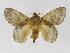  ( - INB0003024984)  @14 [ ] Copyright (2012) J. Montero Instituto Nacional de Biodiversidad
