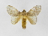  ( - INB0003025953)  @11 [ ] Copyright (2012) J. Montero Instituto Nacional de Biodiversidad