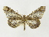  ( - INB0003029941)  @11 [ ] Copyright (2012) J. Montero Instituto Nacional de Biodiversidad