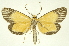  ( - INB0003031782)  @11 [ ] Copyright (2012) Juan Mata Lorenzen INBio