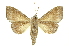  ( - INB0003032853)  @11 [ ] Copyright (2012) Juan Mata Lorenzen INBio