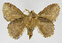  ( - INB0003040442)  @11 [ ] Copyright (2012) J. Montero Instituto Nacional de Biodiversidad