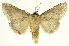  ( - INB0003041011)  @14 [ ] Copyright (2012) Juan Mata Lorenzen Unspecified